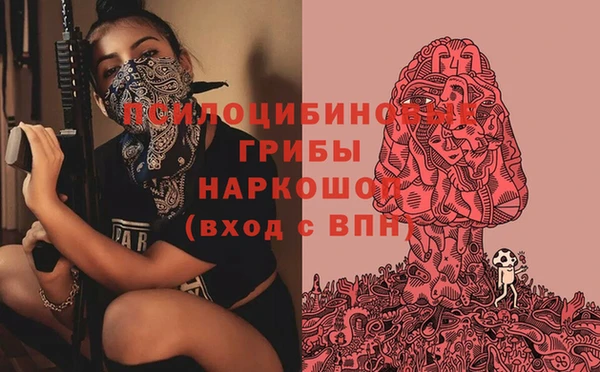 дживик Арсеньев